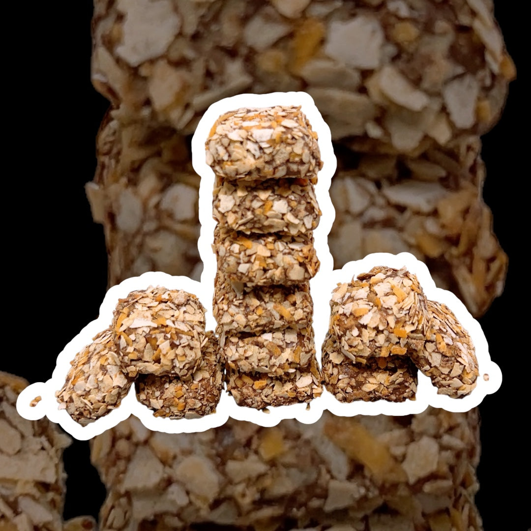 Homemade Cookies | Toasted Coconut Oaties